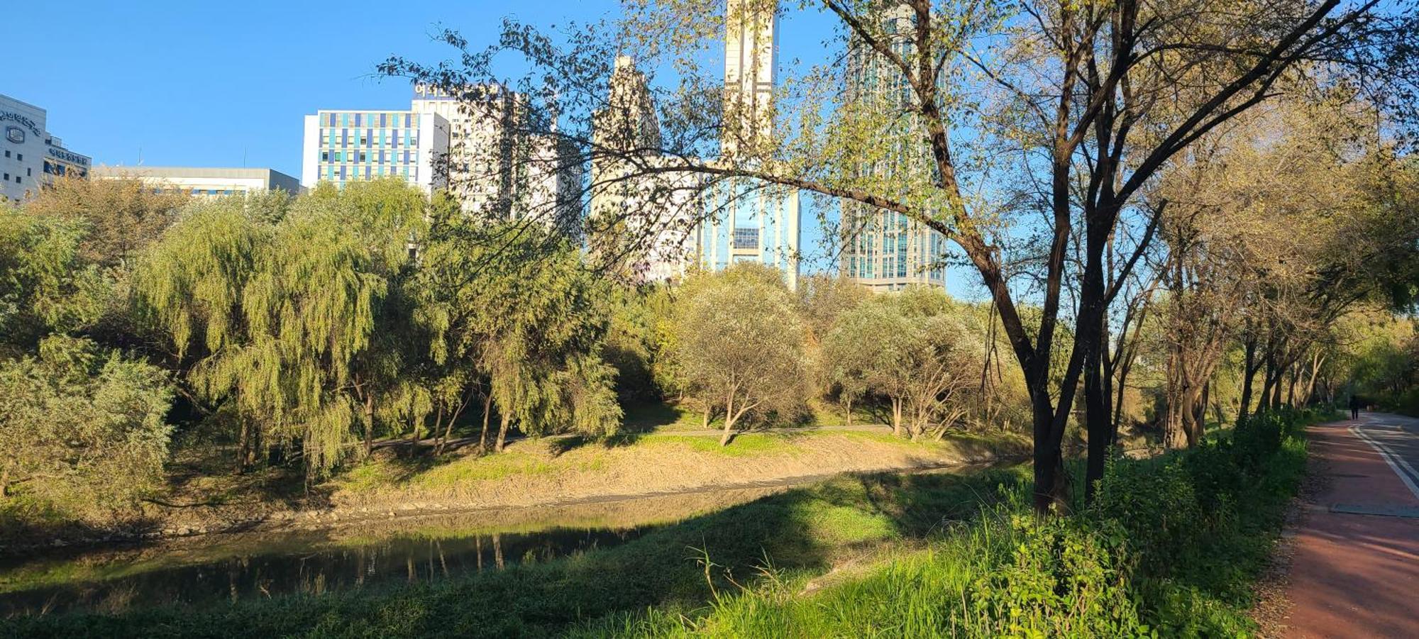 Yeouido Stay 首爾 外观 照片